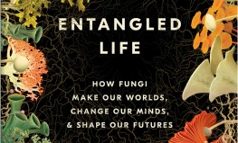 Mērlins Šeldreiks "Samudžinātā dzīve. Kā sēnes rada mūsu pasaules, maina mūsu domas un veido mūsu nākotni"