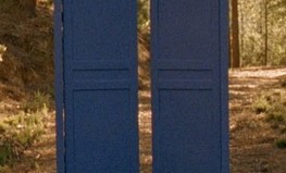 Zilās durvis, 2007