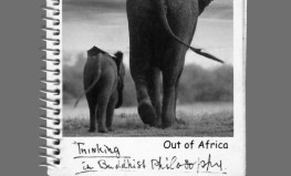 Out of Africa