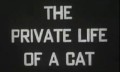 Aleksandrs Hamids "Kaķa privātā dzīve" 1944