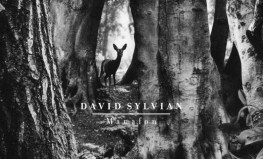 David Sylvian "Manafon"