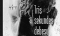 Sigits Paruļskis. "Trīs sekundes debesu"