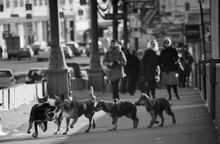 Foto - LETA/Imageforum
