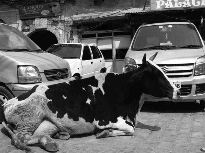 Foto - Juris Lorencs