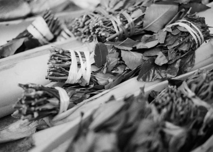 Foto - Juris Lorencs