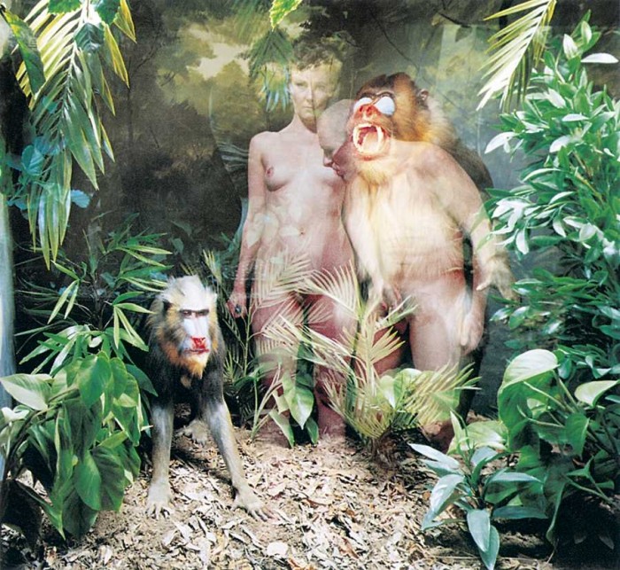 Oļegs Kuļiks (Krievija).  Dabas muzejs: jaunā paradīze. Babuīni. 2001.