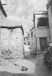 Lehas vecpilsētas kvartāls (Foto - Ilmārs Šlāpins)