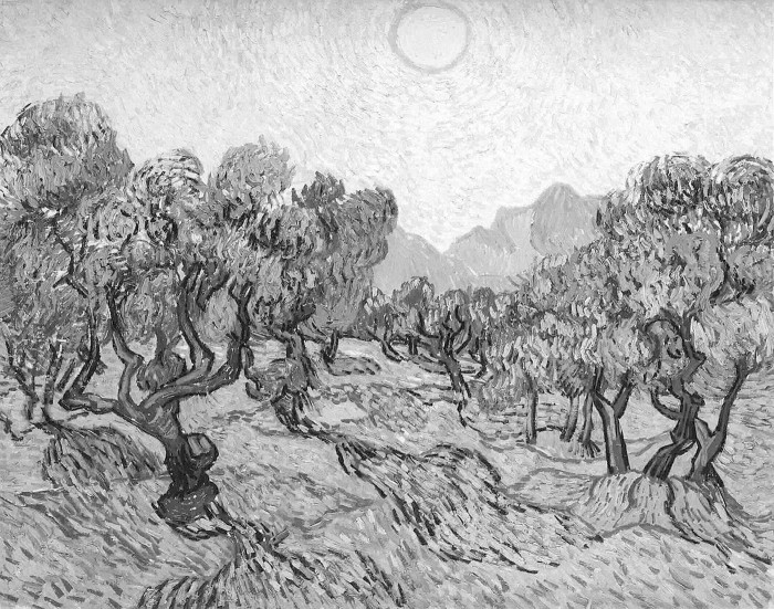 Vinsents van Gogs. Olīvkoki ar dzeltenajām debesīm un sauli, 1889.