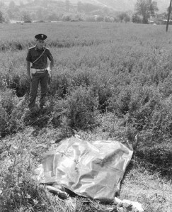 Florences briesmoņa 1984. gada jūlija nozieguma vietā