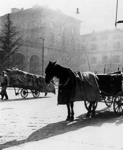 “Zirgs, nabaga nomocītais radījums, skatās atpakaļ, pateicīgs, ļoti pateicīgs.”  Turīna, 20. gs. sākums. (Foto - Uldis Tīrons)