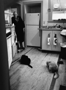 Viljams S. Berouzs baro kaķus virtuvē, 1991, Alena Ginsberga fotogrāfija