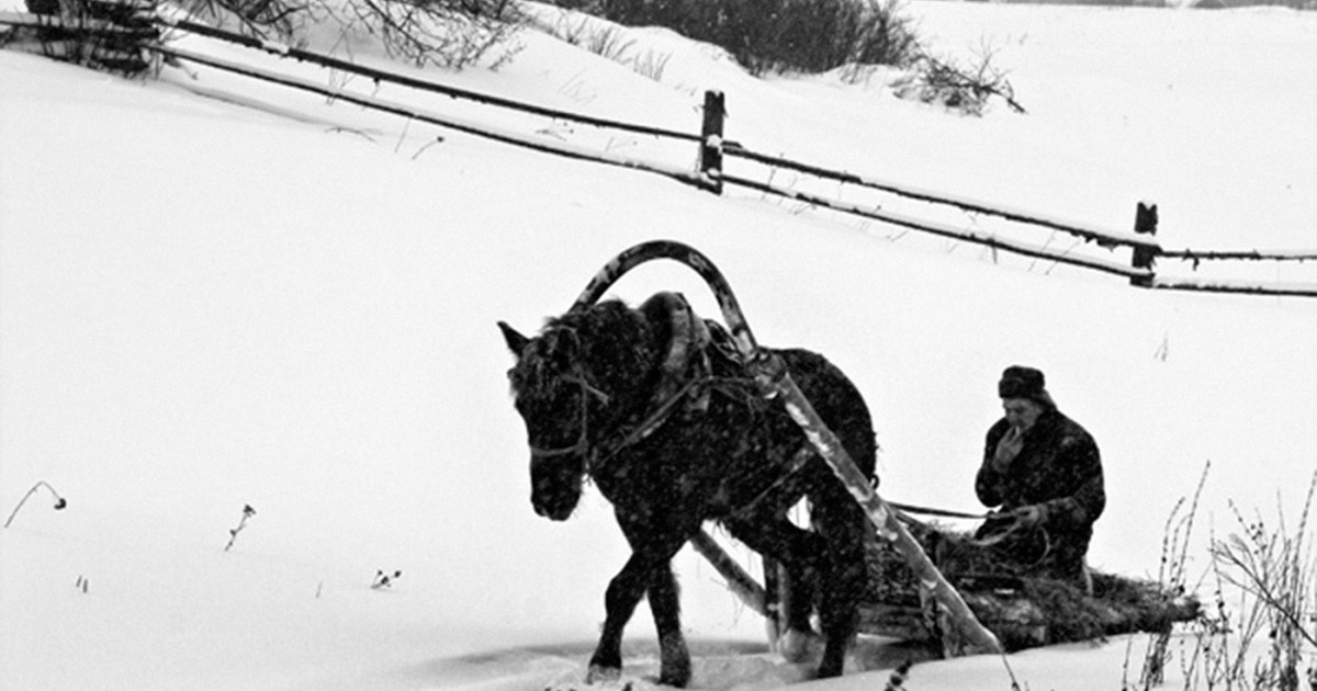 Сани крестьянина. Крестьянин на дровнях зима. Крестьяне зимой. Зима крестьянин торжествуя. Дровни крестьянские сани.