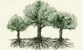 Pēters Vollēbens "Koku slēptā dzīve: ko tie jūt un kā sazinās"